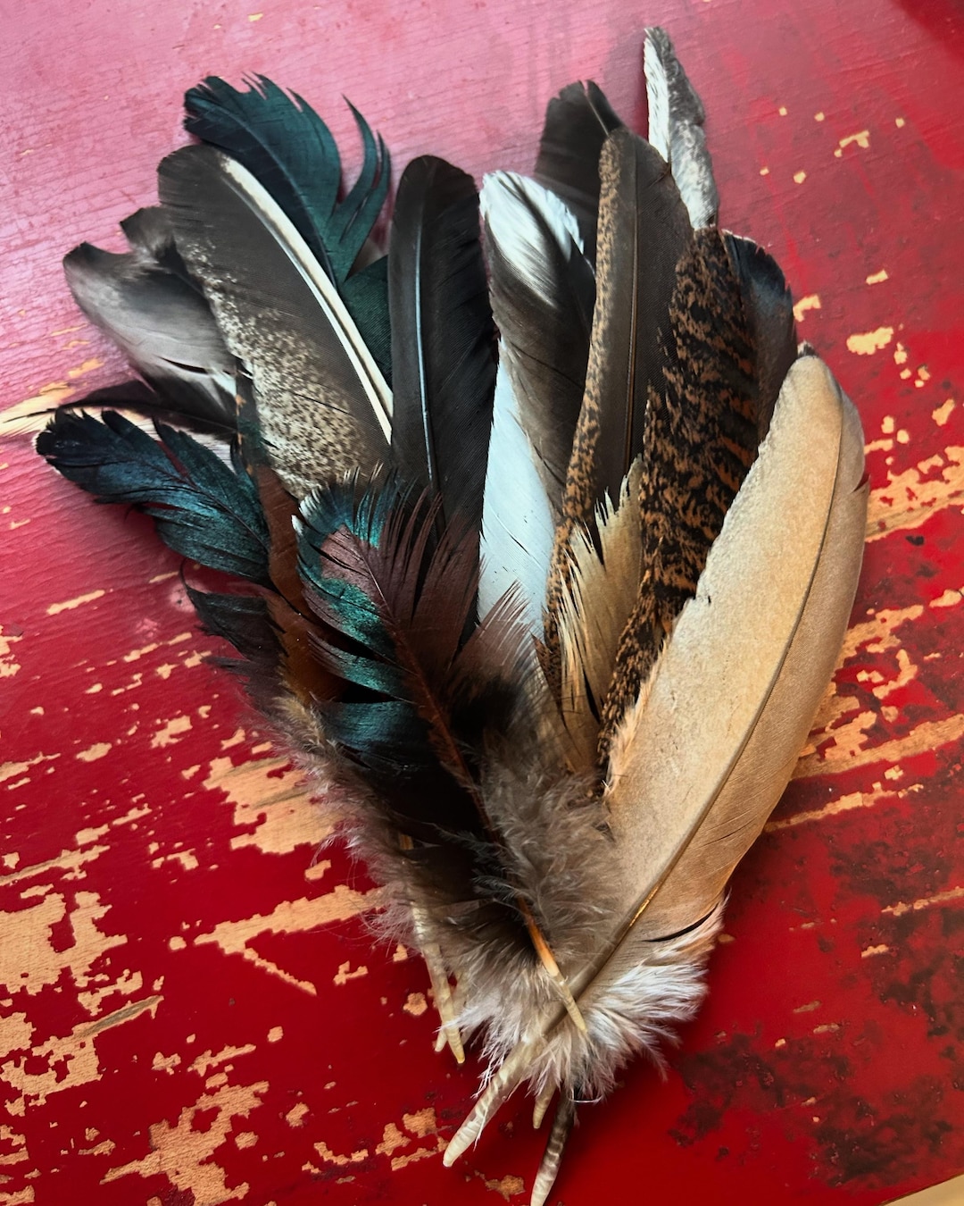How to Disinfect Bird Feather for Quill: Easy & Safe Methods
