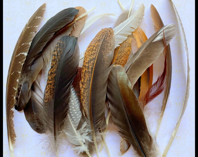 Assorted Medium Feathers Cruelty Free From Happy Birds Etsy
