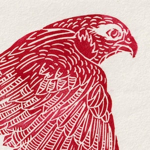Delivered- Falcon Print in Ruby on Mulberry, Peregrine Falcon Print