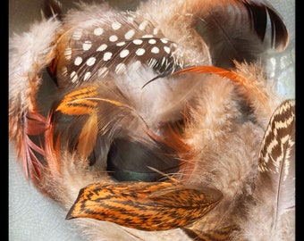 Assorted Small Feathers: Ethically Sourced, Cruelty-Free, from Happy Birds!