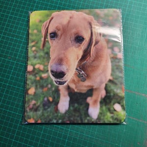 May include: A rectangular dog-themed mousepad featuring a close-up of a brown Labrador Retriever. The dog is sitting on green grass with fallen leaves. The dog is wearing a collar with a tag.