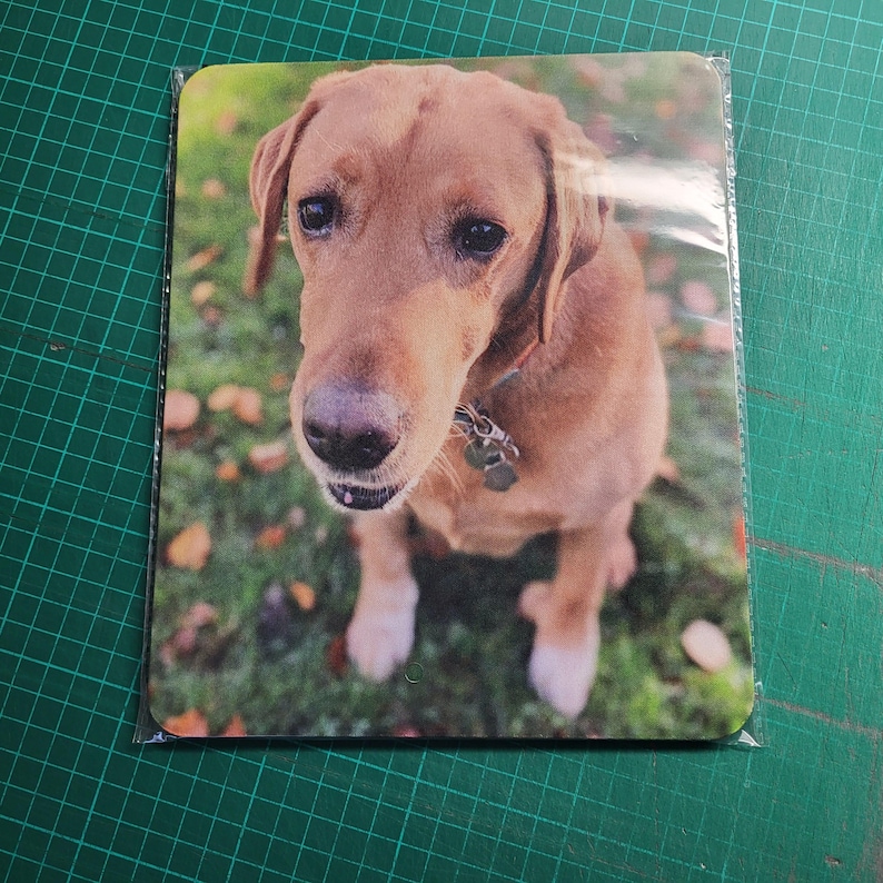 May include: A rectangular dog-themed mousepad featuring a close-up of a brown Labrador Retriever. The dog is sitting on green grass with fallen leaves. The dog is wearing a collar with a tag.
