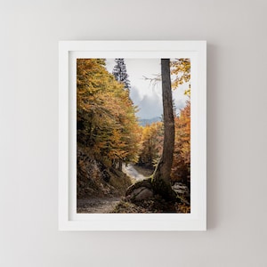 Slowenien Herbst Bäume Druck, Herbst Landschaft Fotografie, Natur Wand Kunst, Reise Poster