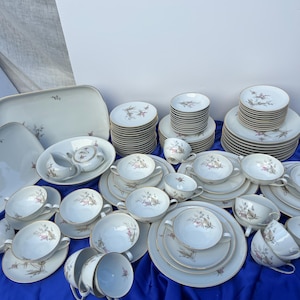 Vintage Hutschenreuther Hohenberg China Set (99 Pcs) - Service for 12