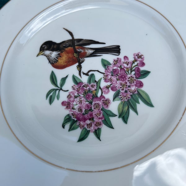 Rare High Quality Vintage Fine Bone China Pickard Salad Plates w/ Hand Painted Bird & Flower Motifs n a 24K Gold Trim n Ring in the Middle