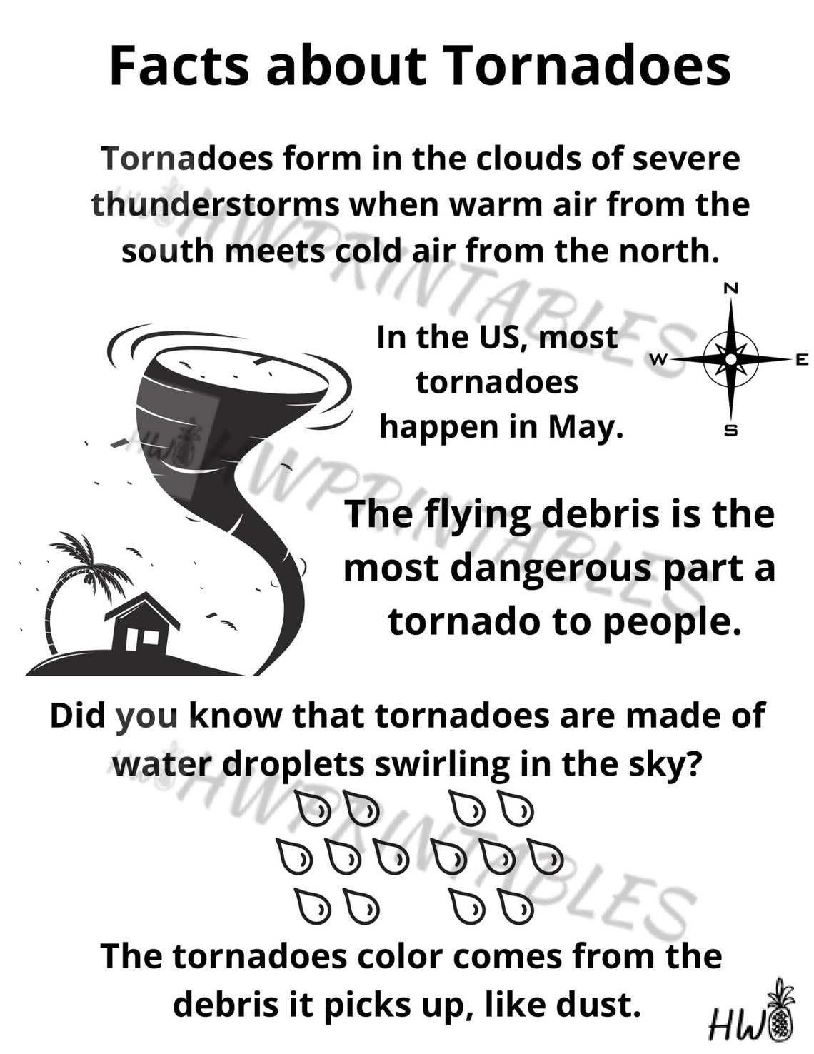 WeatherLearn About Tornadoes Safety in a Tornado Spelling Etsy