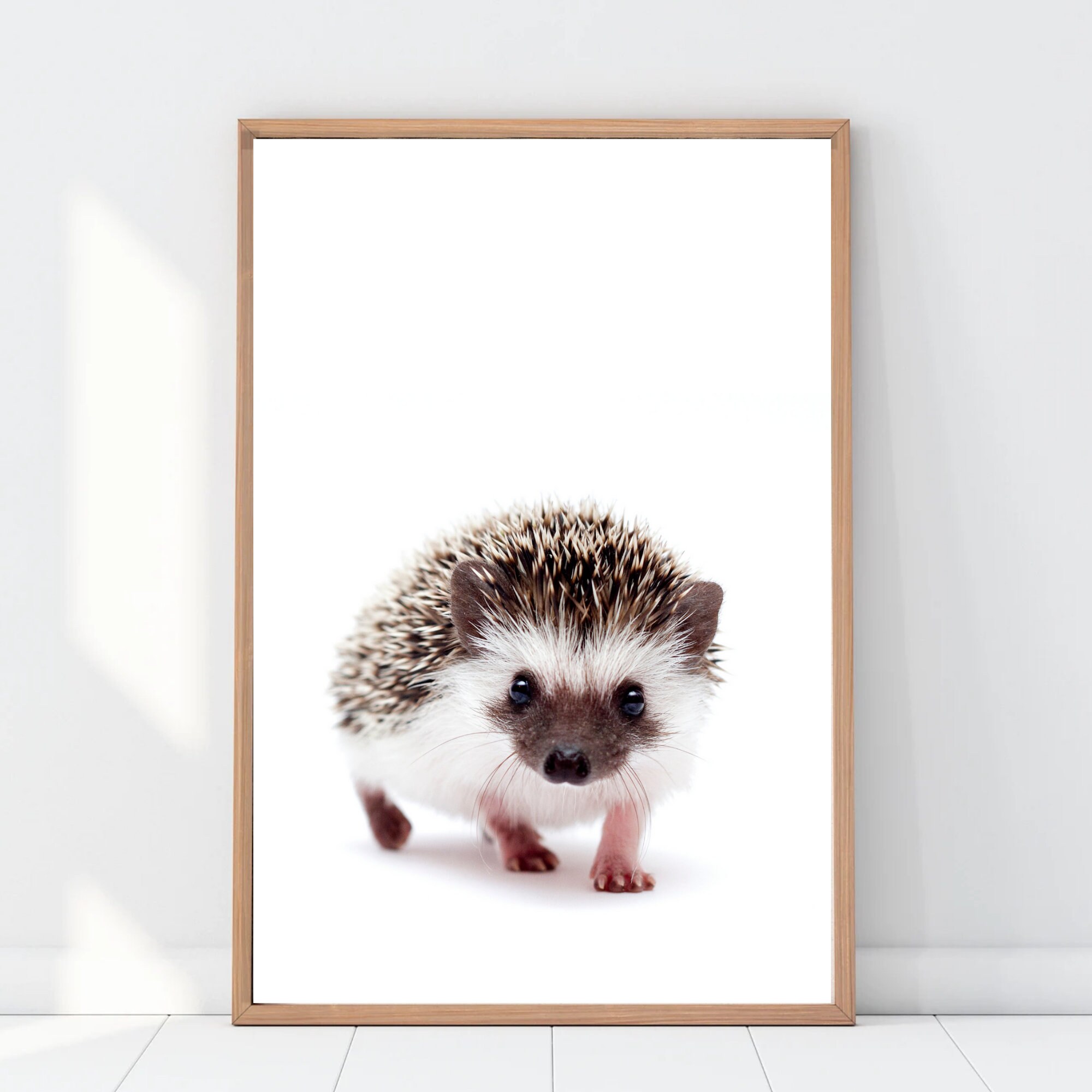 Curious Hedge Hog Portrait - Etsy