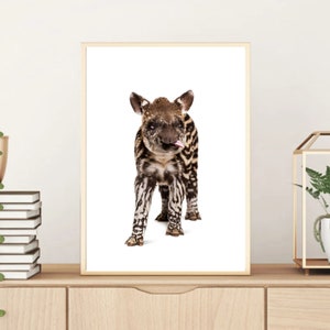 Baby Tapir Portrait