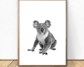 May include: Black and white photograph of a koala sitting on a white background.