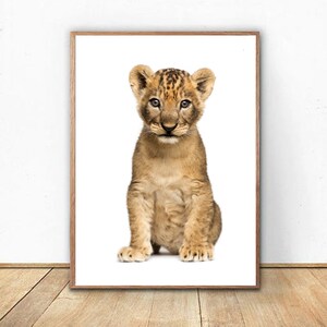 Lion King Cub-portret