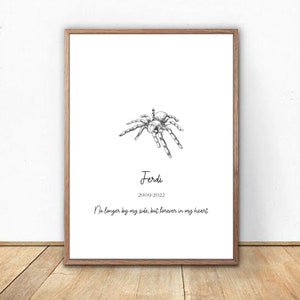 Custom Spider Loss Print | Pet Spider Memorial | Grief Remembrance