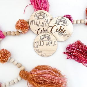 Personalized Newborn Announcement Photo | Baby Name Reveal | Hello World | Birth Stats | Wood Milestone Discs | Hospital Sign