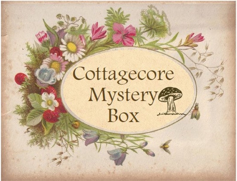 Cottagecore Mystery Box Fairycore Jewelry Vintage Decor Etsy