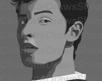 Shawn Mendes Black and White Digital Drawing