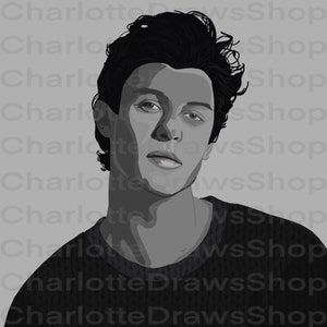 Shawn Mendes Black and White Digital Drawing