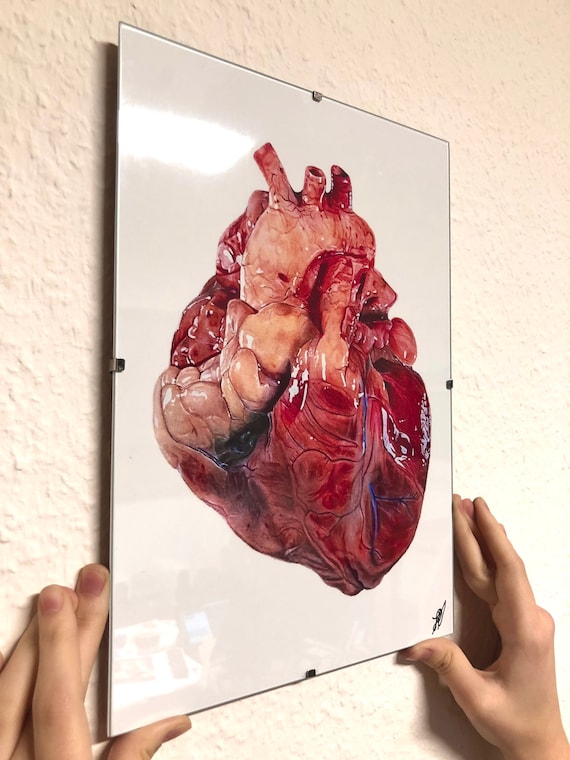 Black and White Realistic Heart SVG, Realistic Heart Clipart | PremiumSVG