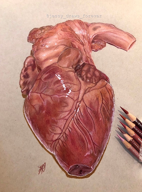 Heart Drawing (original) - Etsy