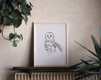 Barn Owl art print