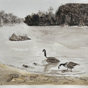Family of Geese on the lake, Original Watercolor Painting (11&quot;x15&quot;).