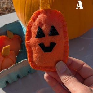May include: An orange felt pumpkin with a stitched outline and a smiling jack-o'-lantern face. The pumpkin has a small, yellow stem and is being held up. Other felt pumpkins are visible in a blue egg carton.