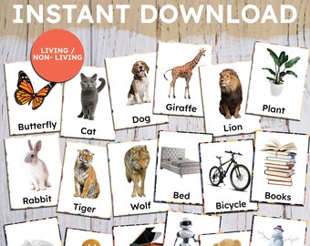 VIVANT / NON-VIVANT, Cartes Montessori à téléchargement instantané, Cartes Montessori imprimables, Cartes Flash, Cartes Flash Nomenclature