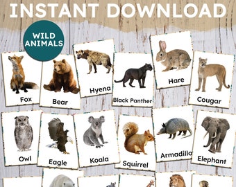 WILD TIERE, SOFORTIGER Download Montessori-Karten, druckbare Montessori-Karten, Flash-Karten, Nomenklatur Flash-Karten