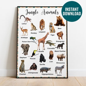 Jungle Animals Poster, INSTANT DOWNLOAD Montessori Poster, Printable Montessori Poster, Learning Poster, Montessori Educational
