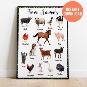Farm Animals Poster, INSTANT DOWNLOAD Montessori Poster, Printable Montessori Poster, Learning Poster, Montessori Educational, Homeschooling