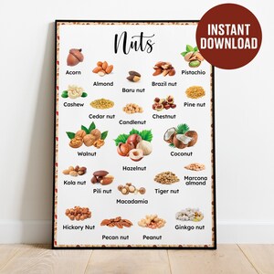 Nüsse Poster, INSTANT DOWNLOAD Montessori Poster, druckbare Montessori Poster, Lernposter, Montessori pädagogisches, Homeschooling