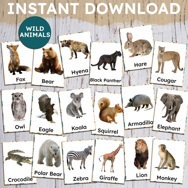 WILD ANIMALS, INSTANT Download Montessori Cards, Printable Montessori Cards, Flash Cards, Nomenclature Flash Cards