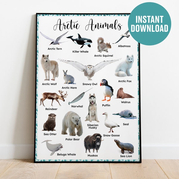Arctic Animals Poster, INSTANT DOWNLOAD Montessori Poster, Printable Montessori Poster, Learning Poster, Montessori Educational