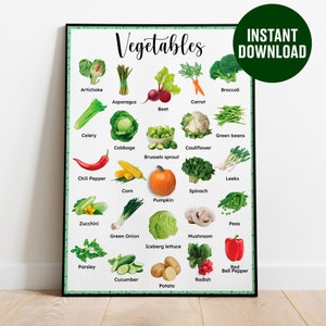 Cartel de verduras, DESCARGA INSTANTE Cartel Montessori, Cartel Montessori imprimible, Cartel de aprendizaje, Educativo Montessori, Educación en el hogar