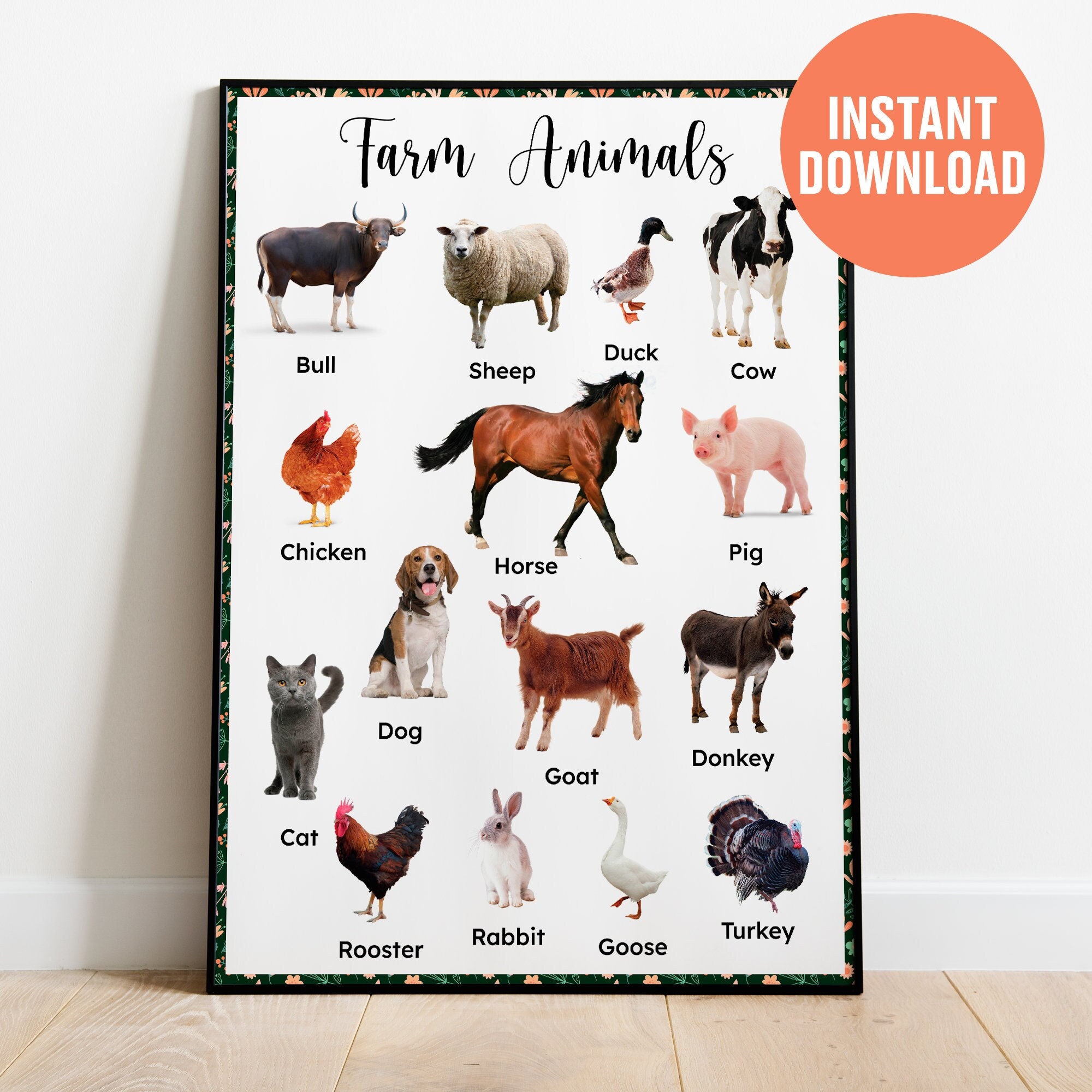 Farm Animals Poster, INSTANT DOWNLOAD Montessori Poster, Printable ...
