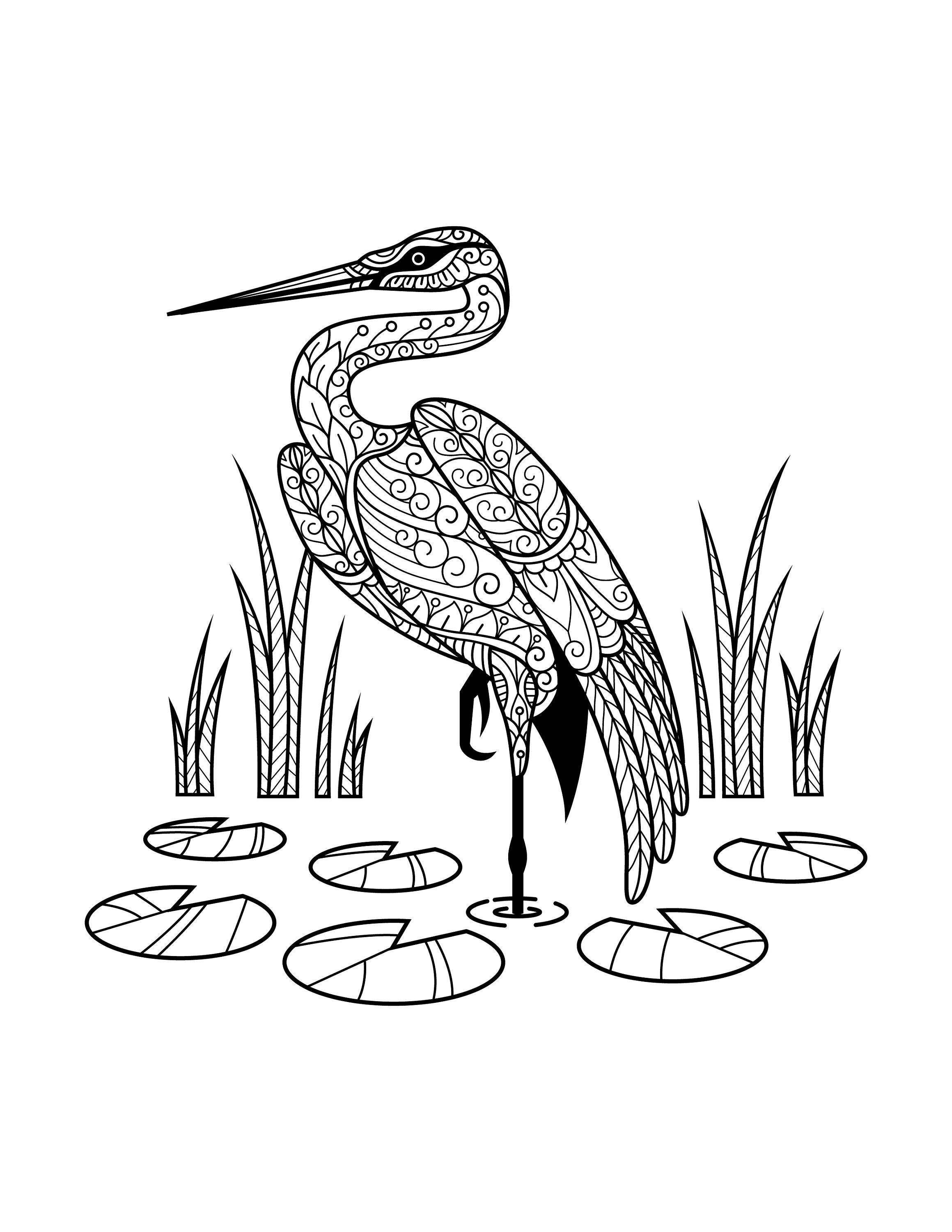 50 Mandala Coloring Pages Digital JPG Assorted Birds | Etsy