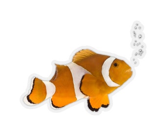 Könnte beinhalten: Ein orange-weißer Clownfisch mit schwarzen Streifen schwimmt mit offenem Maul und bläst Blasen. Der Fisch ist vor einem weißen Hintergrund isoliert.