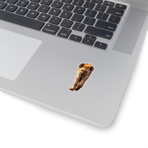 Hyena sticker, wildlife photography stickers, African animals laptop stickers, notebook stickers, animal photographs image 2