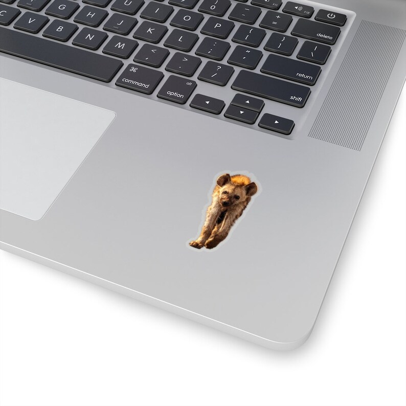Hyena sticker, wildlife photography stickers, African animals laptop stickers, notebook stickers, animal photographs image 2
