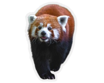 Rode panda sticker, dierenfoto stickers, wilde dieren, duidelijke vinyl stickers