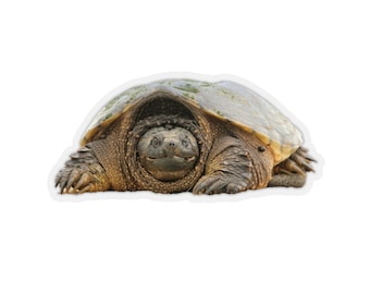 Pegatina de tortuga, pegatinas de fotos de animales, pegatinas divertidas de computadora portátil, pegatinas de cuadernos, fotografías de animales