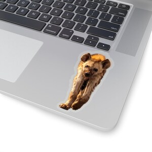 Hyena sticker, wildlife photography stickers, African animals laptop stickers, notebook stickers, animal photographs image 4