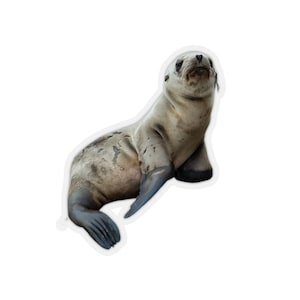 Baby seal sticker, animal photo stickers, clear stickers, cute stickers