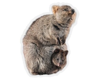 Stickers voor wilde dieren, babydieren, dierenfoto's, schattige dieren