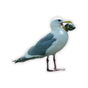 Seagull sticker, funny animal stickers, ocean stickers, vinyl bird sticker, silly birds