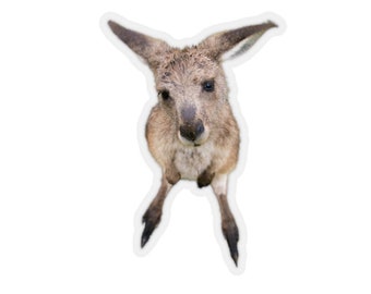 Kangaroo sticker, Animal photo stickers, Australia animals, funny laptop stickers, wild animals, kids stickers