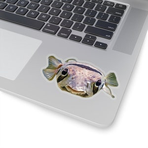 Puffer fish sticker, ocean animals photos, funny stickers, sea creatures decor, vinyl stickers for notebooks image 4