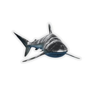 Shark sticker, ocean animals, sharks photograph, clear animal stickers, notebook stickers