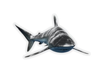 Shark sticker, ocean animals, sharks photograph, clear animal stickers, notebook stickers