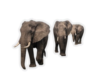 Elephant stickers, stickers of elephants, animal photography stickers, vinyl elephant laptop sticker