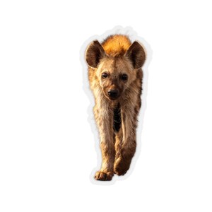 Hyena sticker, wildlife photography stickers, African animals laptop stickers, notebook stickers, animal photographs image 1