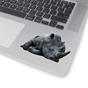 Rhino sticker, wilde dieren van Afrika, dierentuin dieren, foto stickers, laptop sticker afbeelding 4